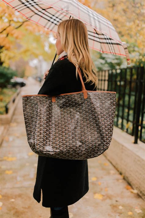 burberry ss19 lookbook|burberry umbrella.